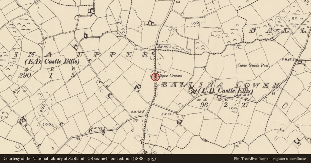 Ordnance Survey six-inch map, 2nd edition (1888–1915) covering the location of Cross, Ballina Lower, County Wexford, with a pin at the register's coordinates