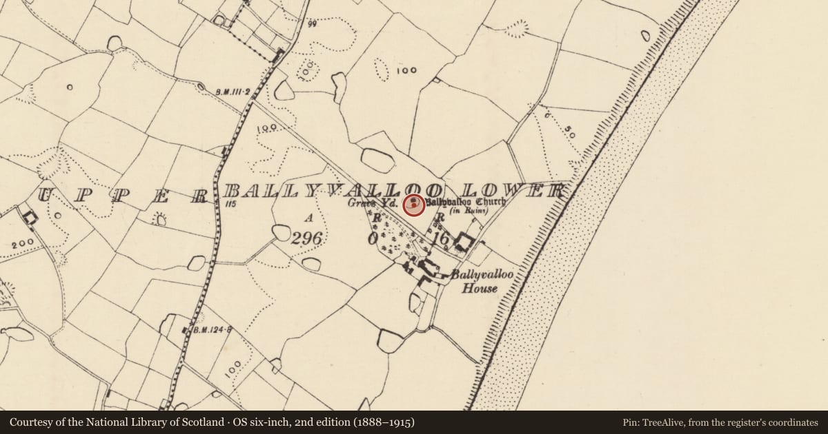 Ordnance Survey six-inch map, 2nd edition (1888–1915) covering the location of Church, Ballyvalloo Lower, County Wexford, with a pin at the register's coordinates