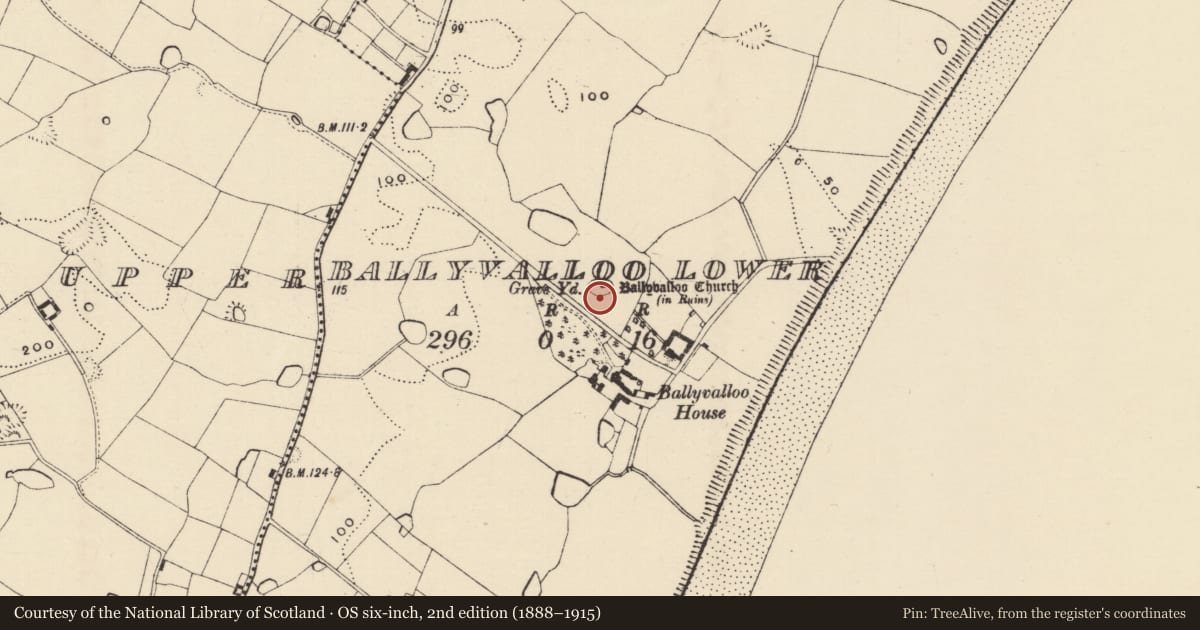 Ordnance Survey six-inch map, 2nd edition (1888–1915) covering the location of Graveyard, Ballyvalloo Lower, County Wexford, with a pin at the register's coordinates