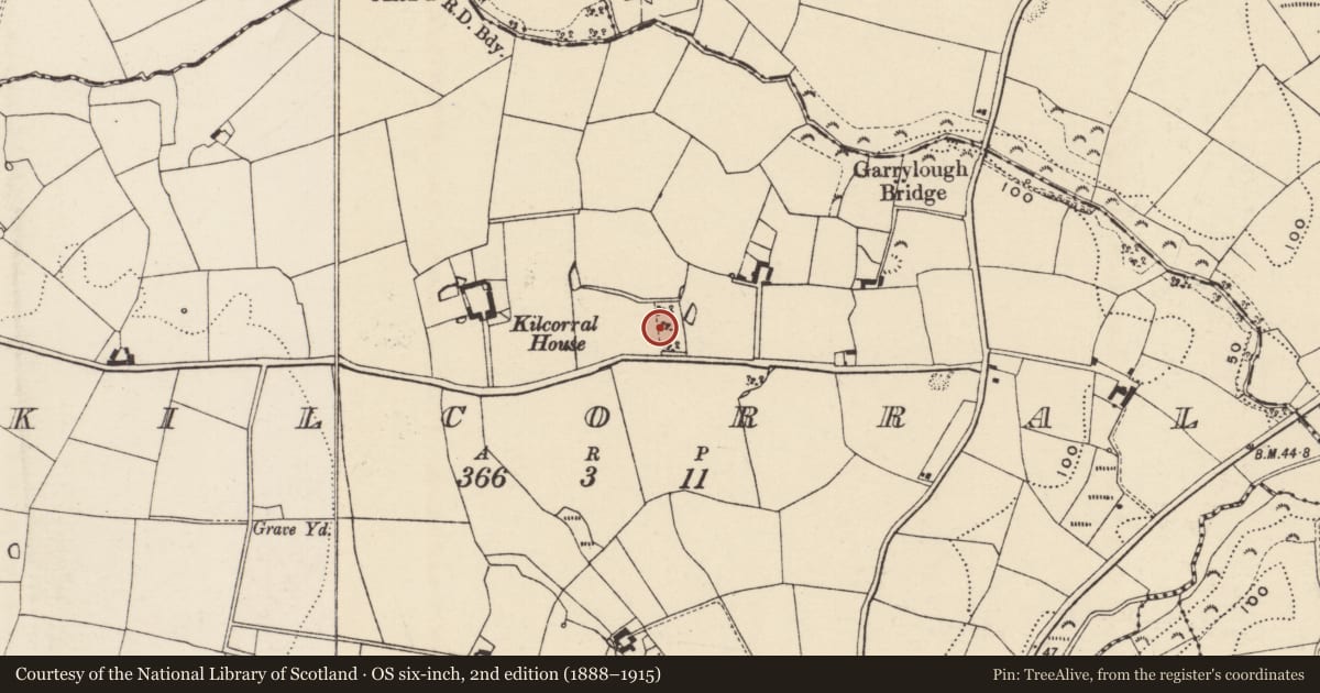 Ordnance Survey six-inch map, 2nd edition (1888–1915) covering the location of Moated site, Kilcorral, County Wexford, with a pin at the register's coordinates