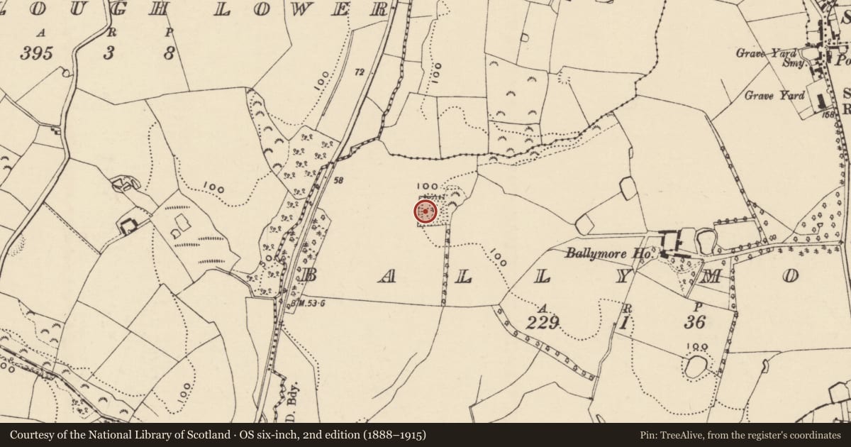 Ordnance Survey six-inch map, 2nd edition (1888–1915) covering the location of Moated site, Ballymore, County Wexford, with a pin at the register's coordinates