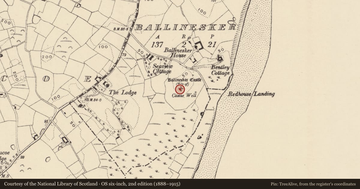 Ordnance Survey six-inch map, 2nd edition (1888–1915) covering the location of House - 17th century, Ballinesker, County Wexford, with a pin at the register's coordinates