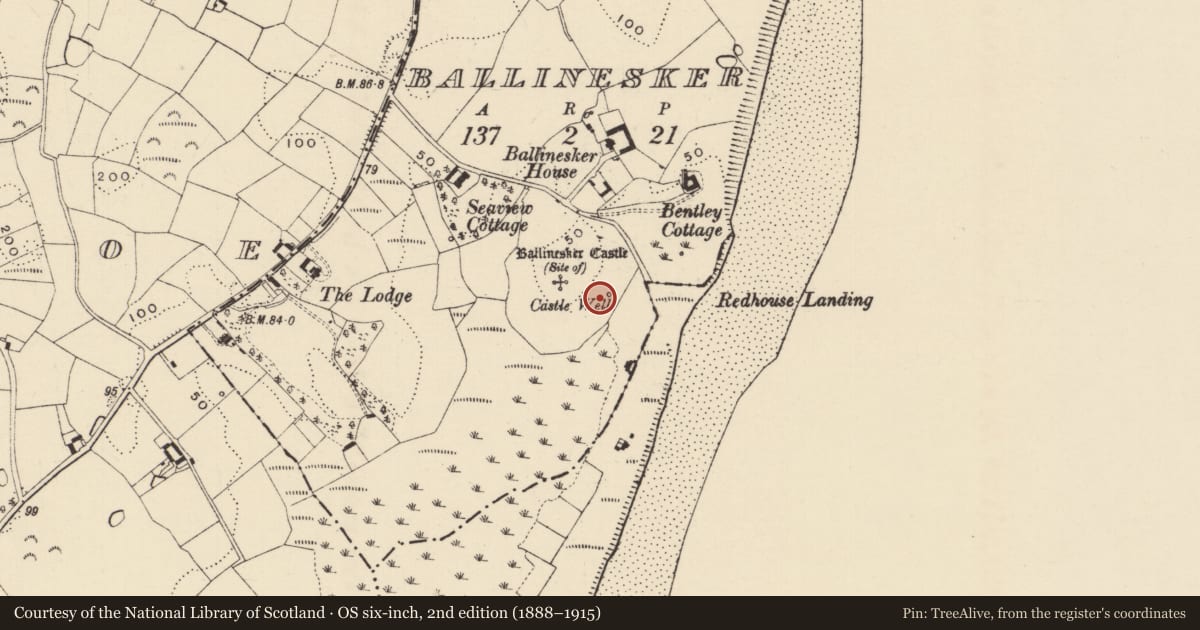 Ordnance Survey six-inch map, 2nd edition (1888–1915) covering the location of Well, Ballinesker, County Wexford, with a pin at the register's coordinates
