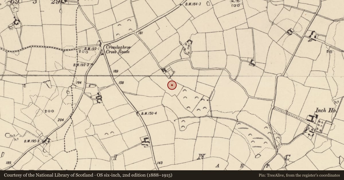 Ordnance Survey six-inch map, 2nd edition (1888–1915) covering the location of Ringfort - rath, Inch, County Wexford, with a pin at the register's coordinates