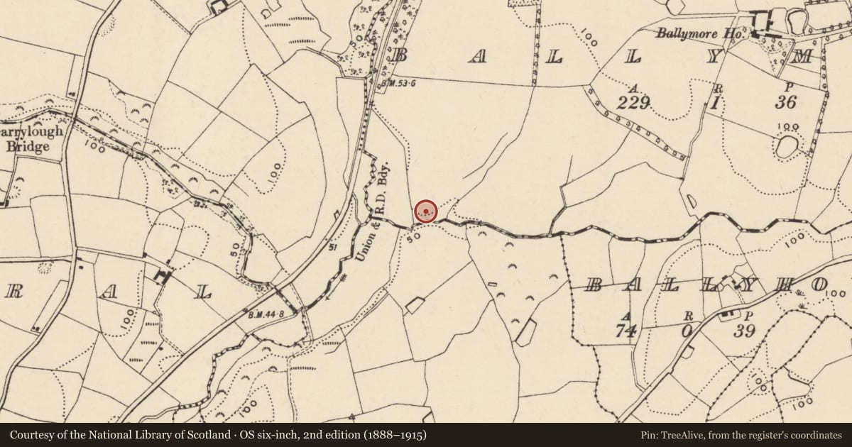 Ordnance Survey six-inch map, 2nd edition (1888–1915) covering the location of Burnt mound, Ballymore, County Wexford, with a pin at the register's coordinates