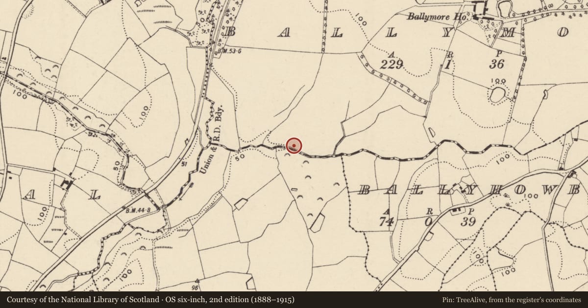 Ordnance Survey six-inch map, 2nd edition (1888–1915) covering the location of Burnt mound, Ballymore, County Wexford, with a pin at the register's coordinates
