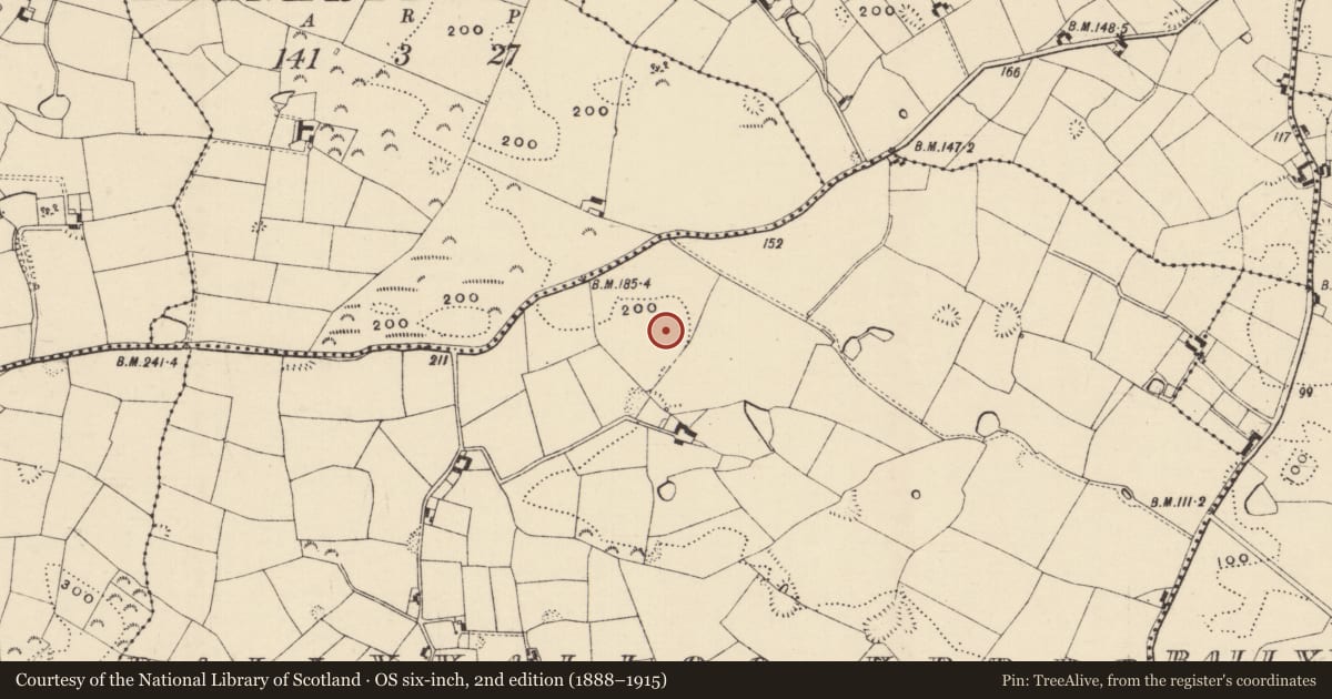 Ordnance Survey six-inch map, 2nd edition (1888–1915) covering the location of Ringfort - rath, Ballyvalloo Upper, County Wexford, with a pin at the register's coordinates