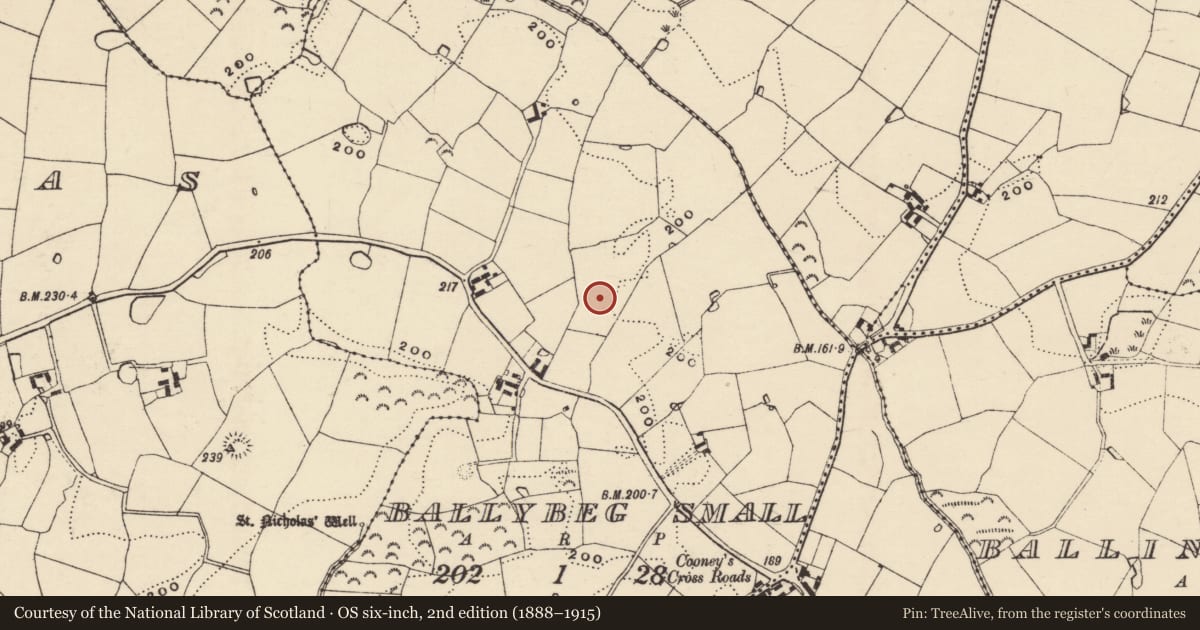 Ordnance Survey six-inch map, 2nd edition (1888–1915) covering the location of Ringfort - rath, Ballybeg Small, County Wexford, with a pin at the register's coordinates