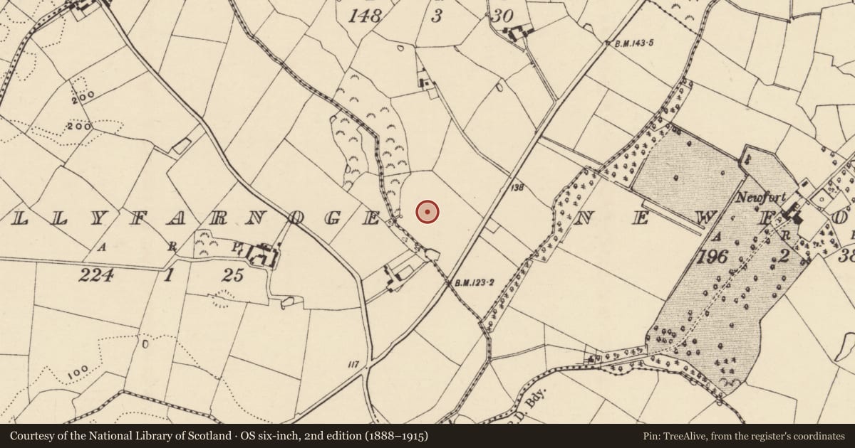 Ordnance Survey six-inch map, 2nd edition (1888–1915) covering the location of Ringfort - rath, Ballintaggart, County Wexford, with a pin at the register's coordinates