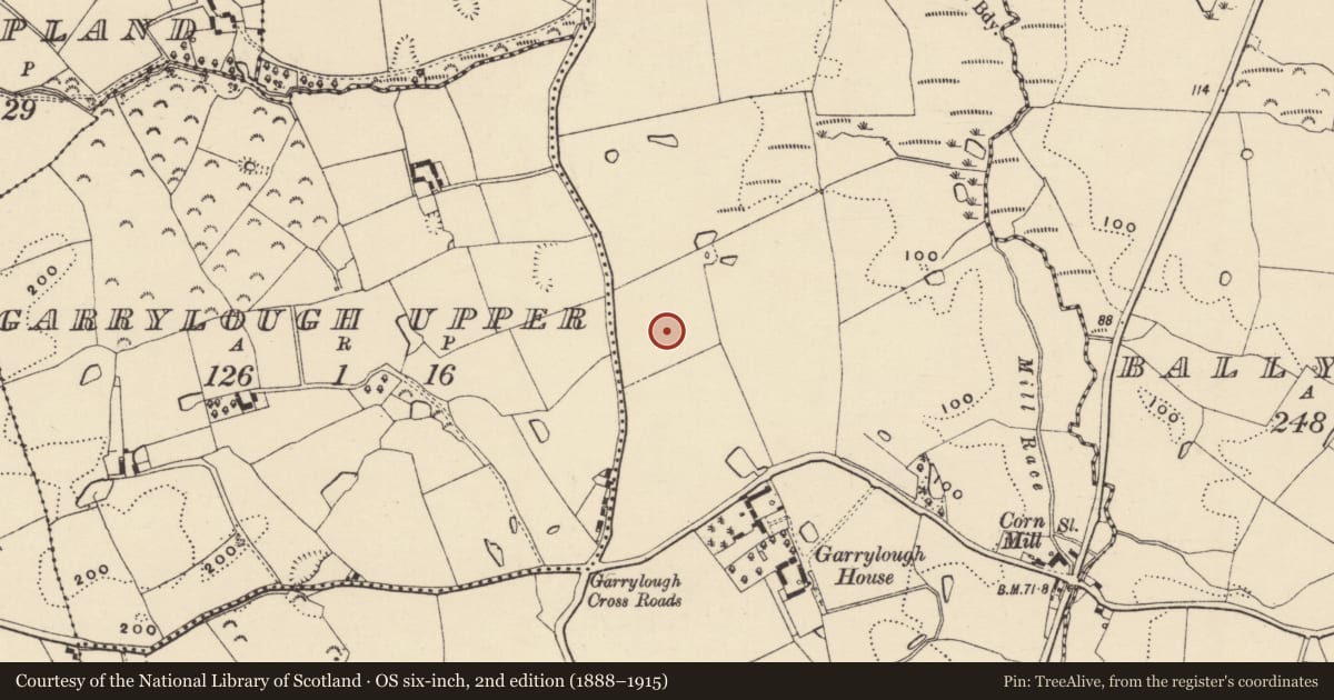 Ordnance Survey six-inch map, 2nd edition (1888–1915) covering the location of Ringfort - rath, Garrylough Lower, County Wexford, with a pin at the register's coordinates