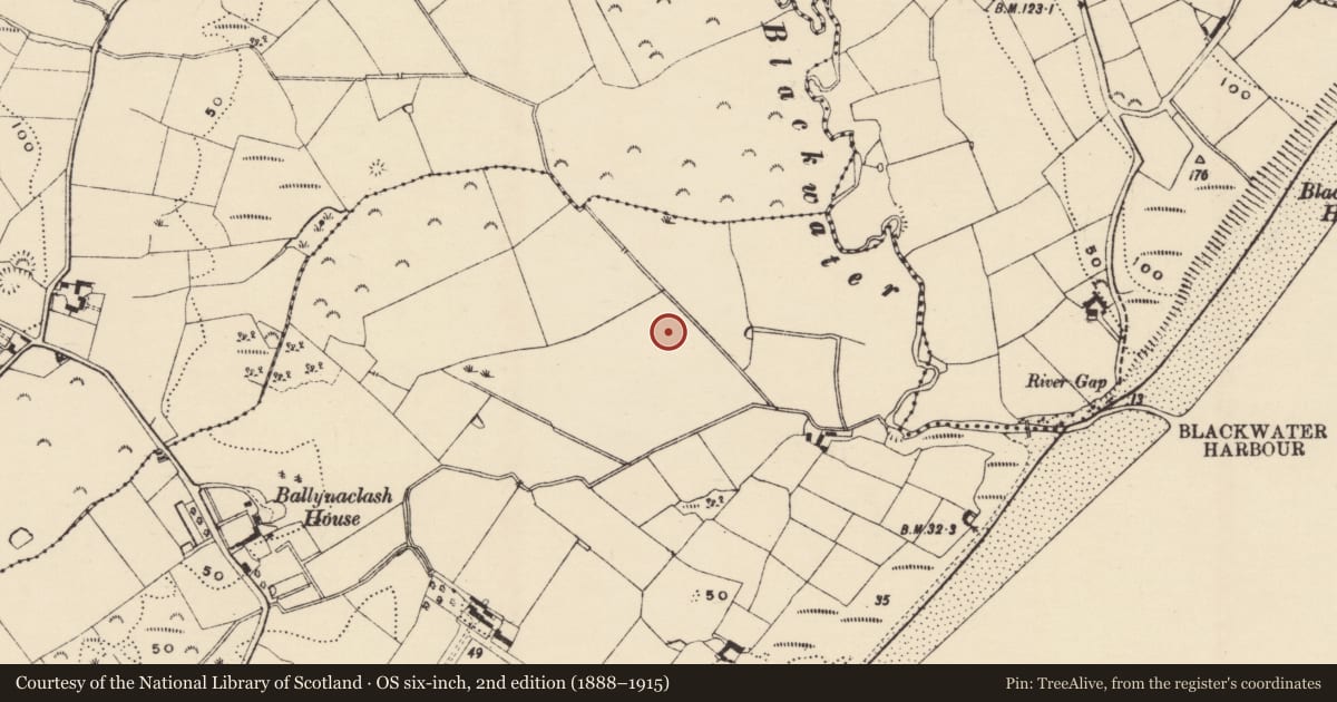 Ordnance Survey six-inch map, 2nd edition (1888–1915) covering the location of Burnt mound, Ballynaclash, County Wexford, with a pin at the register's coordinates