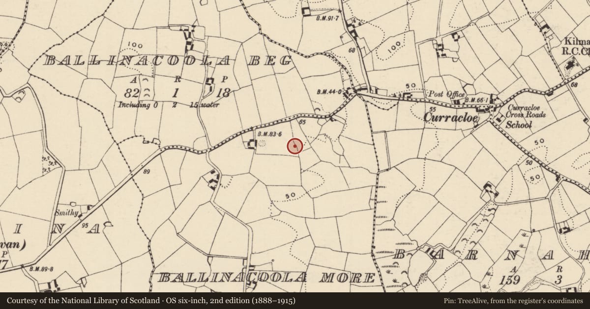 Ordnance Survey six-inch map, 2nd edition (1888–1915) covering the location of Font (present location), Ballinacoola More, County Wexford, with a pin at the register's coordinates