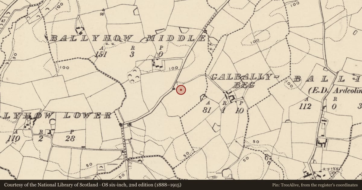 Ordnance Survey six-inch map, 2nd edition (1888–1915) covering the location of Ringfort - rath, Ballyhow Middle, County Wexford, with a pin at the register's coordinates