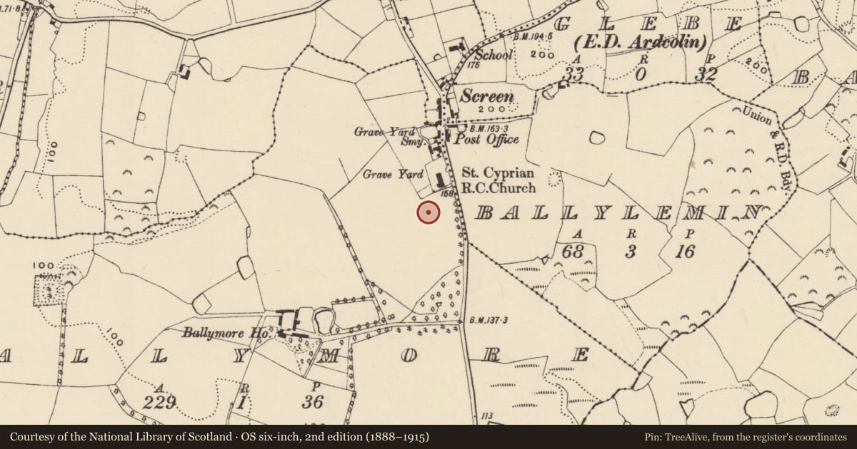 Ordnance Survey six-inch map, 2nd edition (1888–1915) covering the location of Excavation - miscellaneous, Ballymore, County Wexford, with a pin at the register's coordinates
