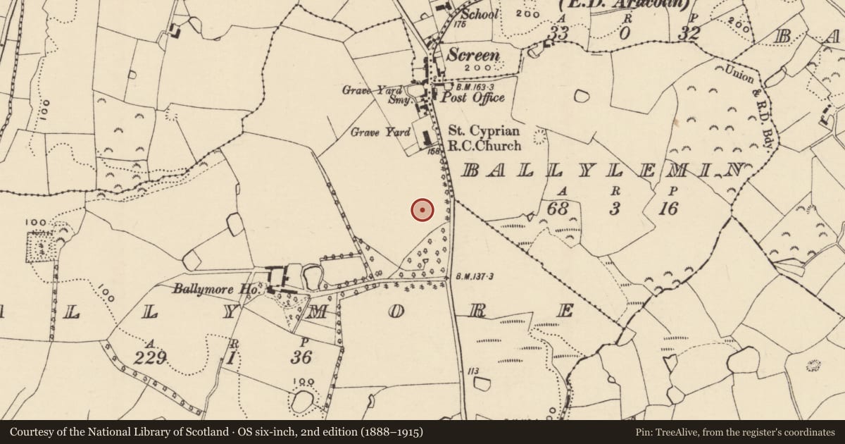 Ordnance Survey six-inch map, 2nd edition (1888–1915) covering the location of Burnt mound, Ballymore, County Wexford, with a pin at the register's coordinates