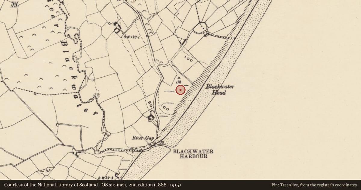 Ordnance Survey six-inch map, 2nd edition (1888–1915) covering the location of Signal tower, Ballyconnigar Lower, County Wexford, with a pin at the register's coordinates