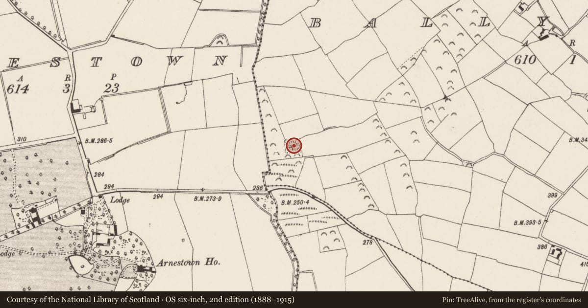 Ordnance Survey six-inch map, 2nd edition (1888–1915) covering the location of Moated site, Ballymacar, County Wexford, with a pin at the register's coordinates