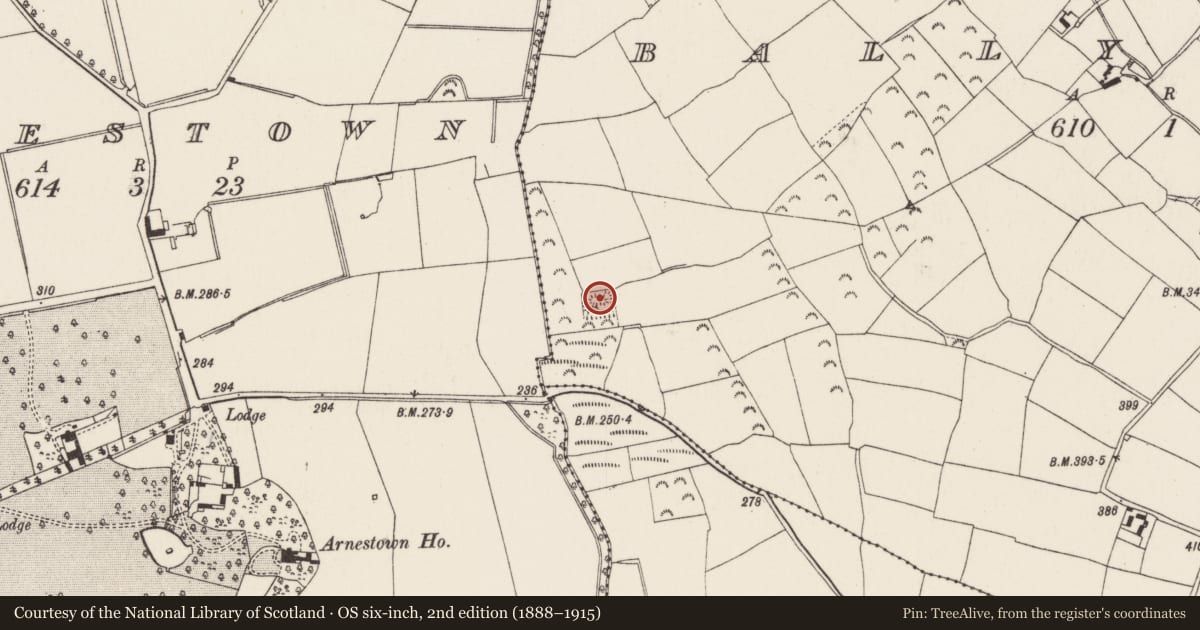 Ordnance Survey six-inch map, 2nd edition (1888–1915) covering the location of House - indeterminate date, Ballymacar, County Wexford, with a pin at the register's coordinates