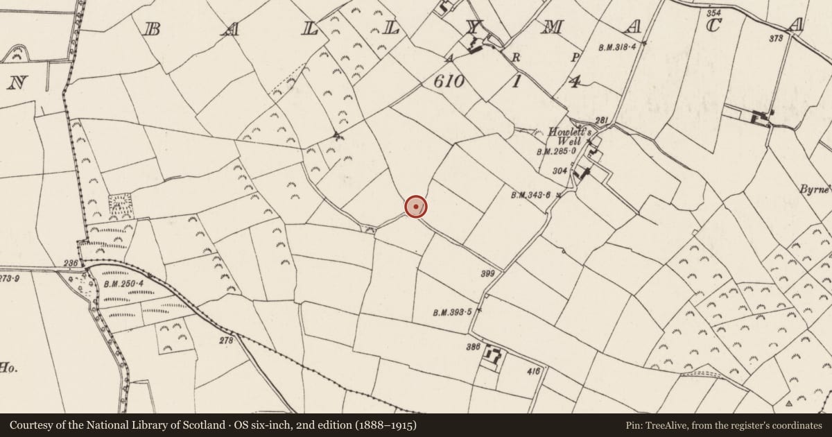 Ordnance Survey six-inch map, 2nd edition (1888–1915) covering the location of Ringfort - unclassified, Ballymacar, County Wexford, with a pin at the register's coordinates