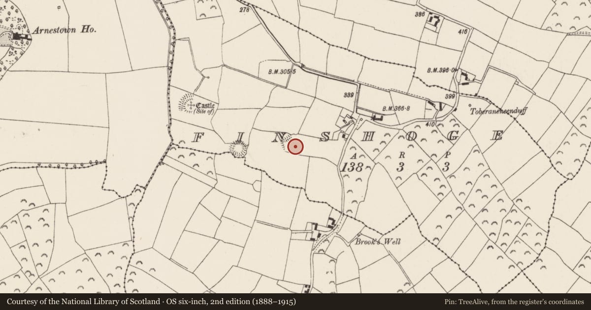 Ordnance Survey six-inch map, 2nd edition (1888–1915) covering the location of Ringfort - unclassified, Finshoge, County Wexford, with a pin at the register's coordinates