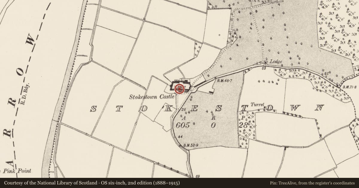 Ordnance Survey six-inch map, 2nd edition (1888–1915) covering the location of Castle - tower house, Stokestown, County Wexford, with a pin at the register's coordinates