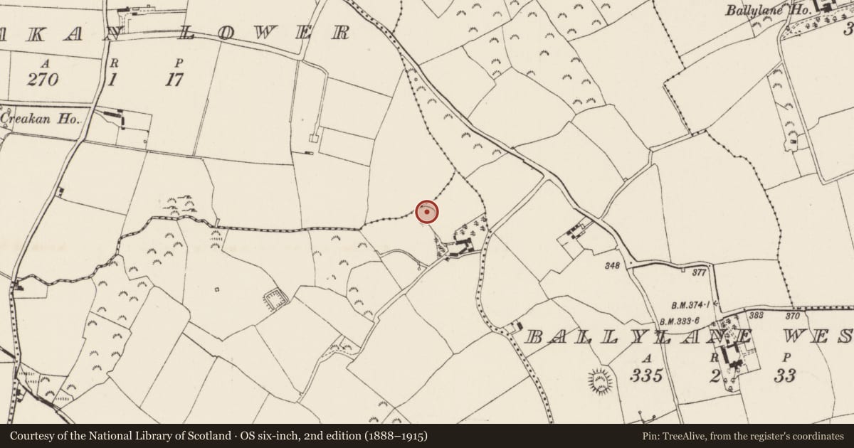Ordnance Survey six-inch map, 2nd edition (1888–1915) covering the location of Ringfort - rath, Slaght, County Wexford, with a pin at the register's coordinates