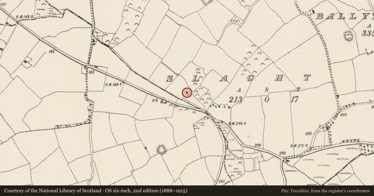 Ordnance Survey six-inch map, 2nd edition (1888–1915) covering the location of Ringfort - rath, Slaght, County Wexford, with a pin at the register's coordinates