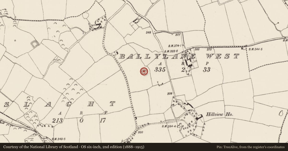Ordnance Survey six-inch map, 2nd edition (1888–1915) covering the location of Moated site, Ballylane West, County Wexford, with a pin at the register's coordinates