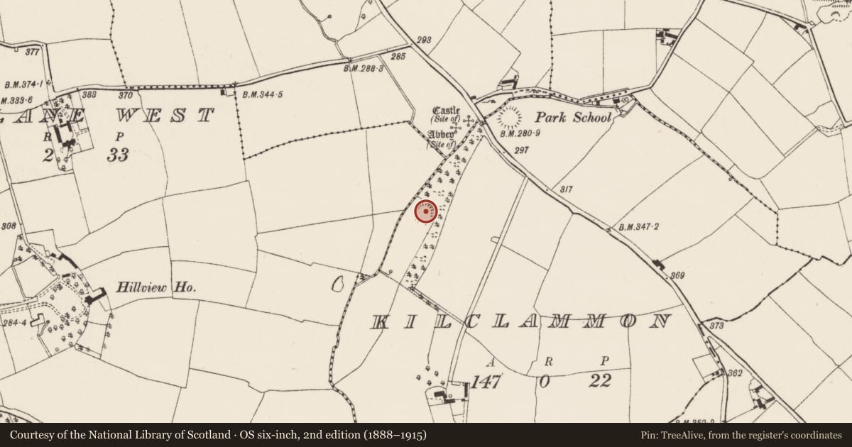 Ordnance Survey six-inch map, 2nd edition (1888–1915) covering the location of Moated site, Kilclammon, County Wexford, with a pin at the register's coordinates