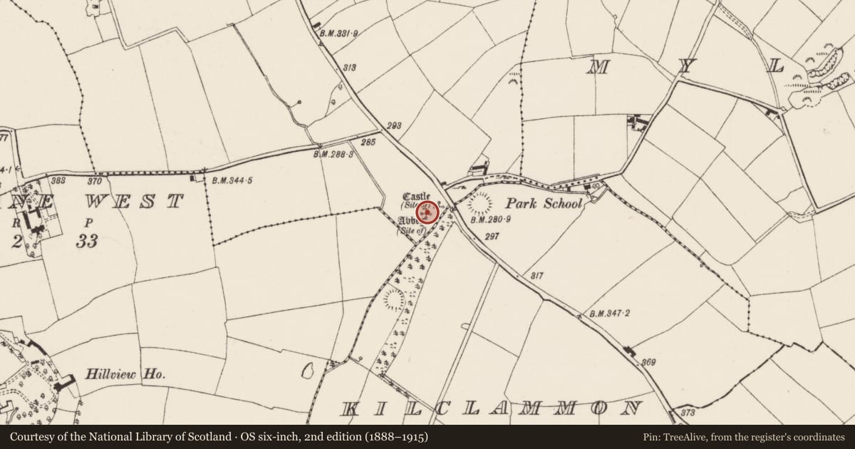 Ordnance Survey six-inch map, 2nd edition (1888–1915) covering the location of Ecclesiastical site, Ballylane East, County Wexford, with a pin at the register's coordinates
