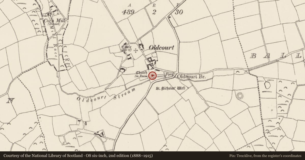 Ordnance Survey six-inch map, 2nd edition (1888–1915) covering the location of Church, Oldcourt, County Wexford, with a pin at the register's coordinates
