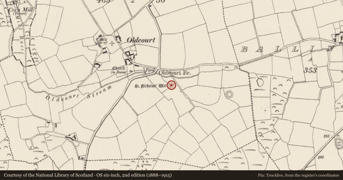 Ordnance Survey six-inch map, 2nd edition (1888–1915) covering the location of Ritual site - holy well, Oldcourt, County Wexford, with a pin at the register's coordinates