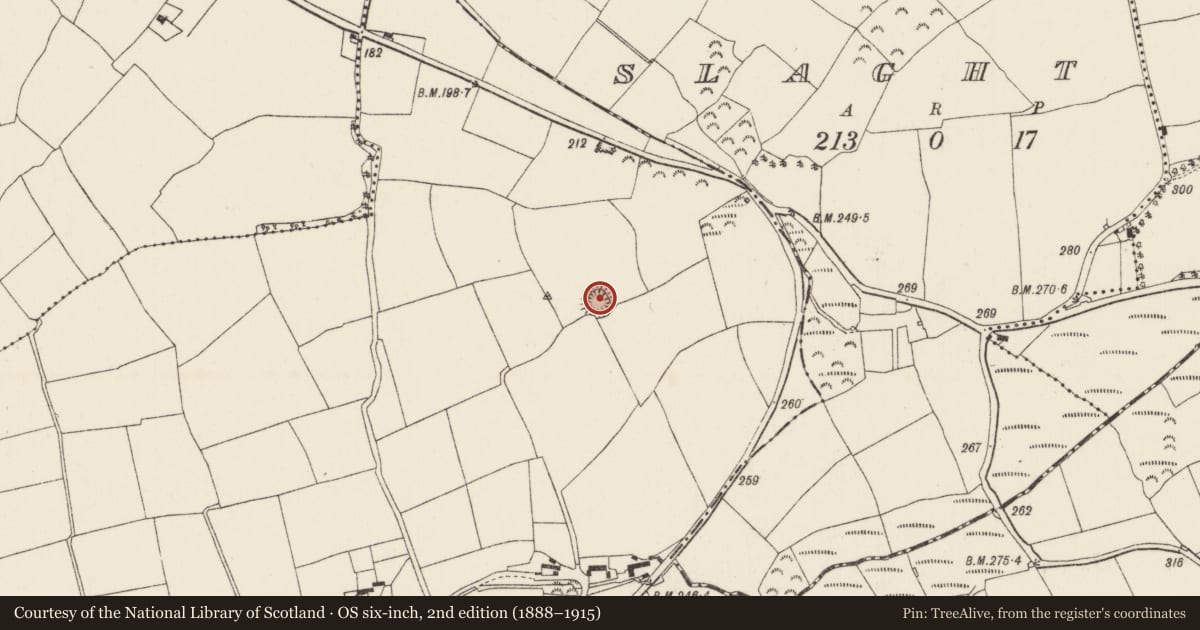 Ordnance Survey six-inch map, 2nd edition (1888–1915) covering the location of Ringfort - rath, Ballinteskin, County Wexford, with a pin at the register's coordinates