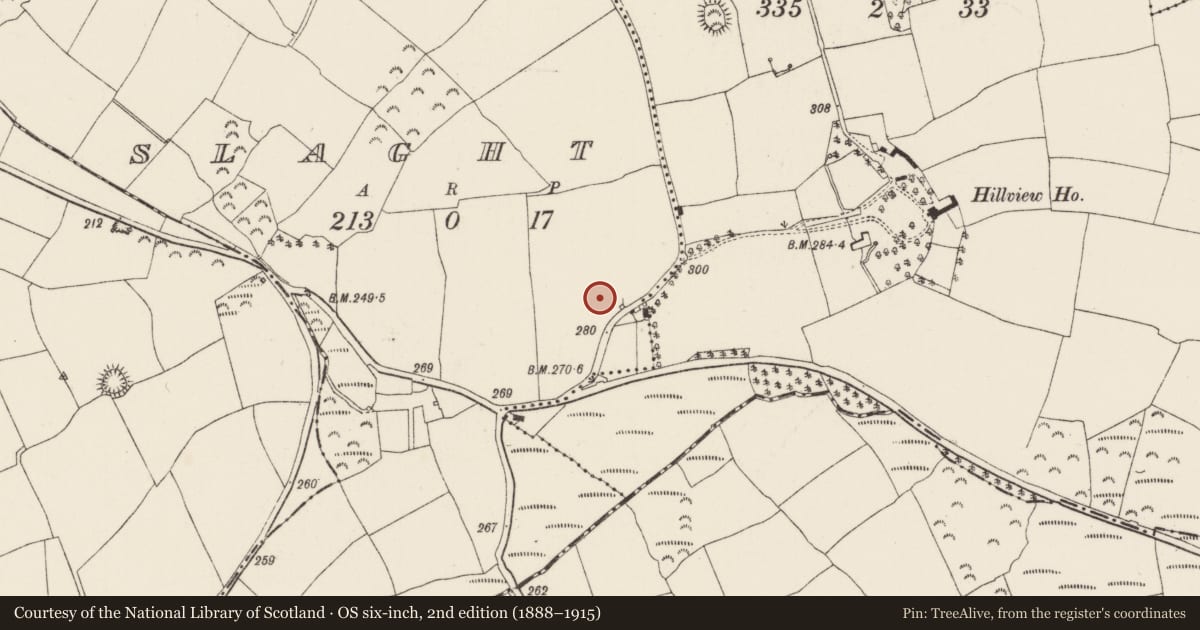 Ordnance Survey six-inch map, 2nd edition (1888–1915) covering the location of Ringfort - unclassified, Slaght, County Wexford, with a pin at the register's coordinates