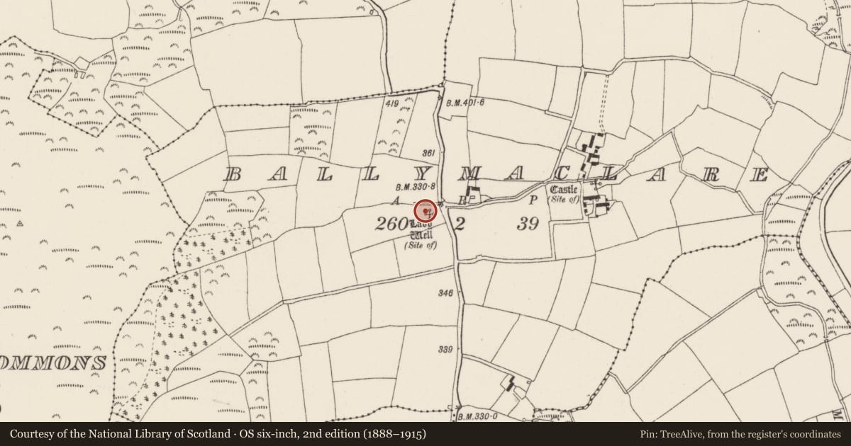 Ordnance Survey six-inch map, 2nd edition (1888–1915) covering the location of Ritual site - holy well, Ballymaclare, County Wexford, with a pin at the register's coordinates