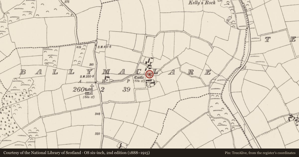 Ordnance Survey six-inch map, 2nd edition (1888–1915) covering the location of Castle - unclassified, Ballymaclare, County Wexford, with a pin at the register's coordinates