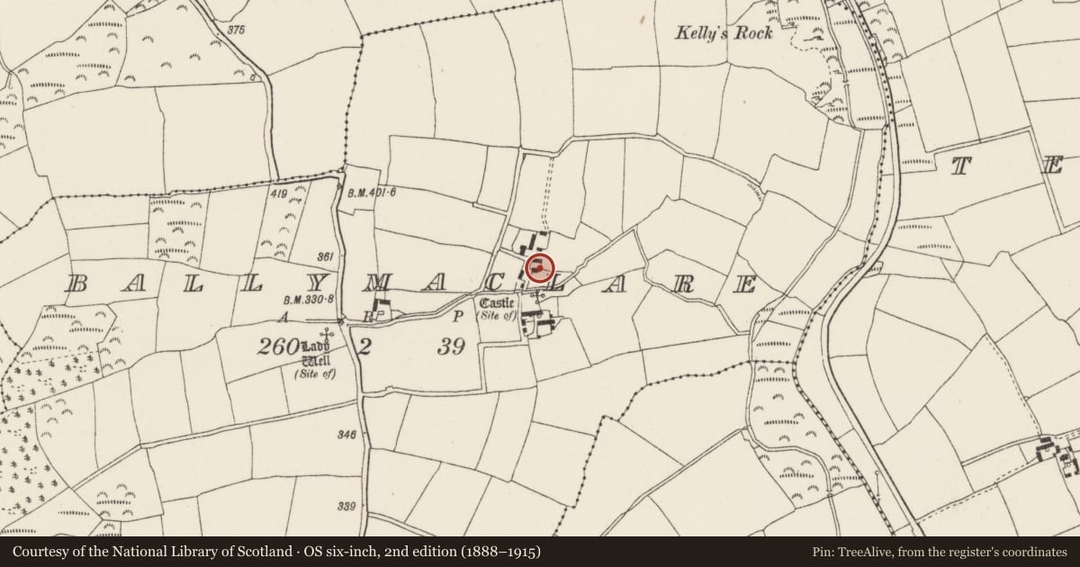 Ordnance Survey six-inch map, 2nd edition (1888–1915) covering the location of Bullaun stone (present location), Ballymaclare, County Wexford, with a pin at the register's coordinates