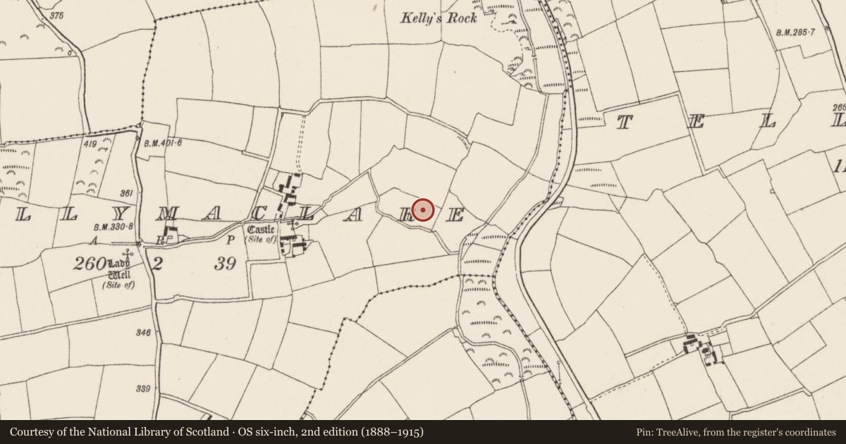 Ordnance Survey six-inch map, 2nd edition (1888–1915) covering the location of Church, Ballymaclare, County Wexford, with a pin at the register's coordinates