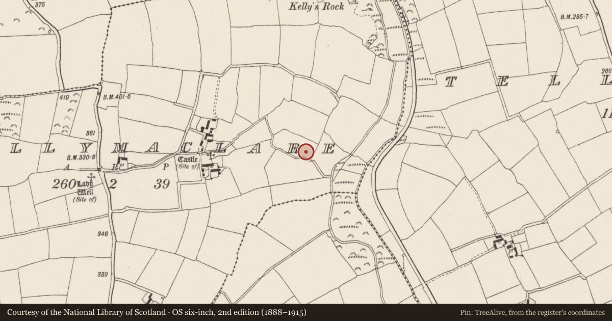 Ordnance Survey six-inch map, 2nd edition (1888–1915) covering the location of Graveyard, Ballymaclare, County Wexford, with a pin at the register's coordinates