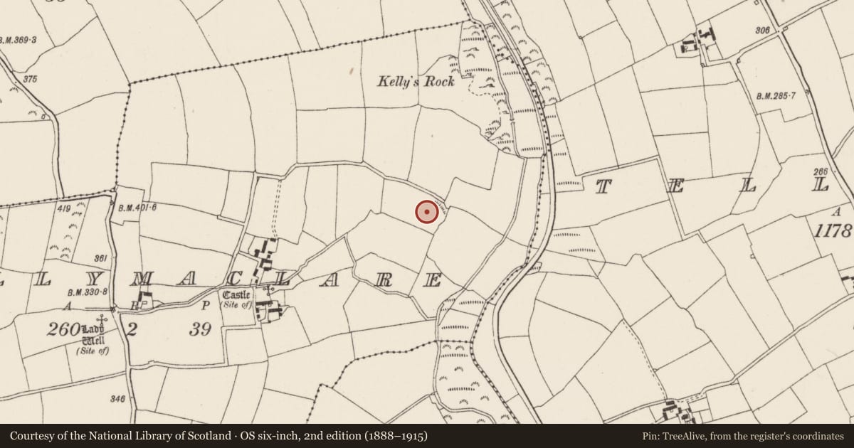 Ordnance Survey six-inch map, 2nd edition (1888–1915) covering the location of Enclosure, Ballymaclare, County Wexford, with a pin at the register's coordinates
