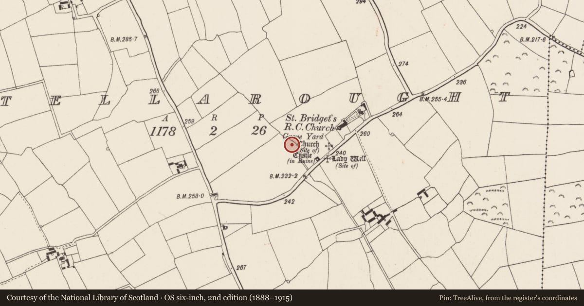 Ordnance Survey six-inch map, 2nd edition (1888–1915) covering the location of Ringfort - unclassified, Tellarought, County Wexford, with a pin at the register's coordinates