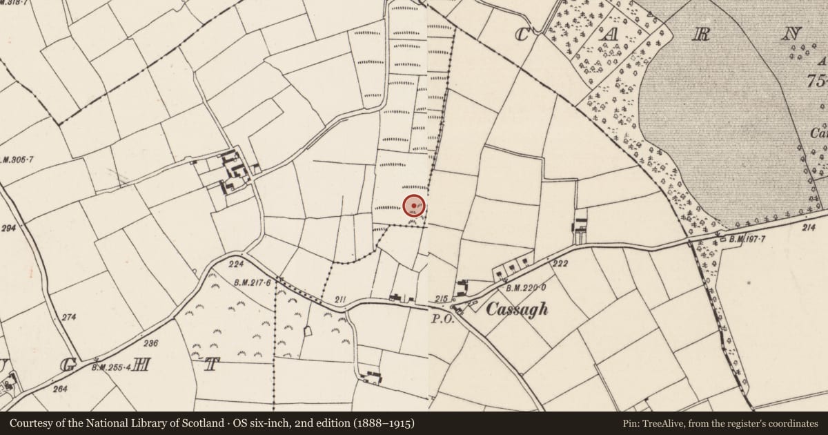 Ordnance Survey six-inch map, 2nd edition (1888–1915) covering the location of Moated site, Tellarought, County Wexford, with a pin at the register's coordinates