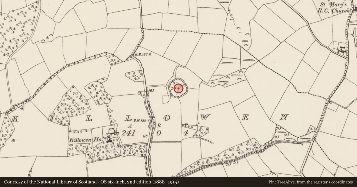 Ordnance Survey six-inch map, 2nd edition (1888–1915) covering the location of Enclosure - large enclosure, Killowen, County Wexford, with a pin at the register's coordinates