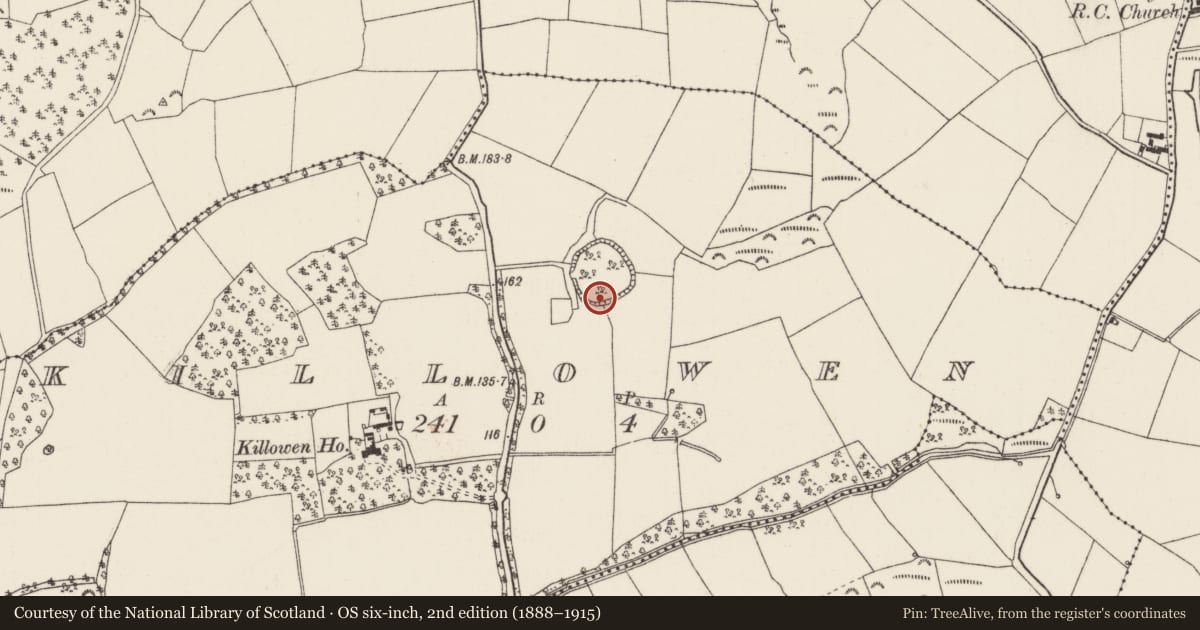 Ordnance Survey six-inch map, 2nd edition (1888–1915) covering the location of Bullaun stone, Killowen, County Wexford, with a pin at the register's coordinates