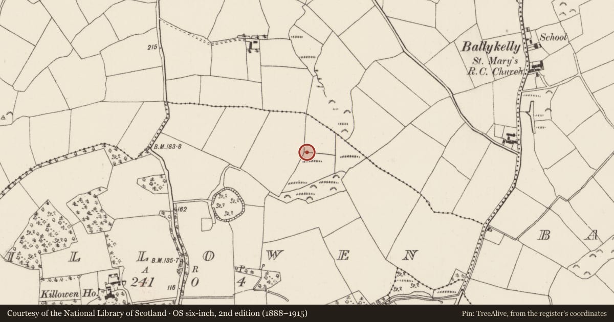Ordnance Survey six-inch map, 2nd edition (1888–1915) covering the location of Enclosure, Killowen, County Wexford, with a pin at the register's coordinates