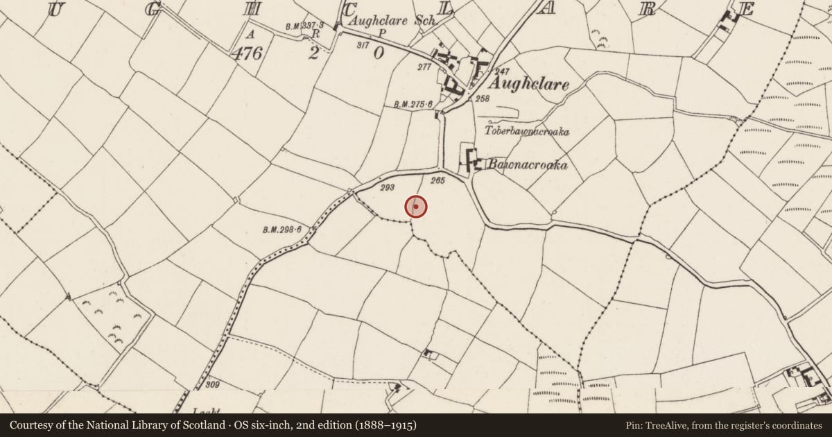 Ordnance Survey six-inch map, 2nd edition (1888–1915) covering the location of Moated site, Aughclare, County Wexford, with a pin at the register's coordinates