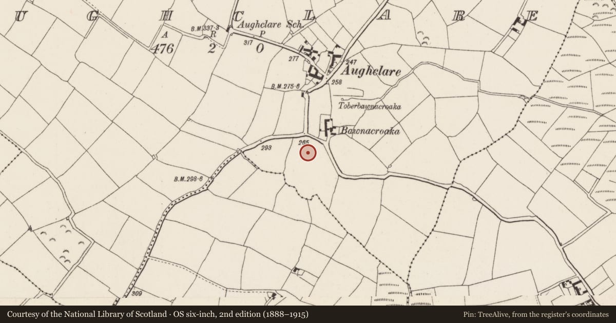 Ordnance Survey six-inch map, 2nd edition (1888–1915) covering the location of Moated site, Aughclare, County Wexford, with a pin at the register's coordinates
