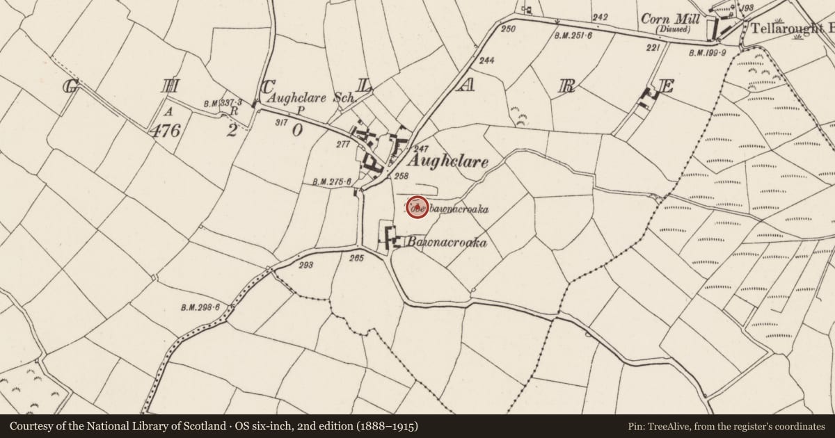 Ordnance Survey six-inch map, 2nd edition (1888–1915) covering the location of Ringfort - unclassified, Aughclare, County Wexford, with a pin at the register's coordinates