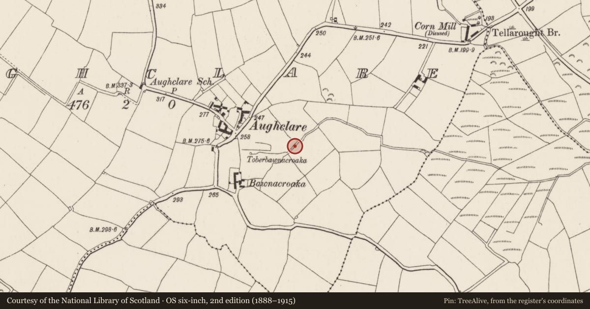 Ordnance Survey six-inch map, 2nd edition (1888–1915) covering the location of Moated site, Aughclare, County Wexford, with a pin at the register's coordinates