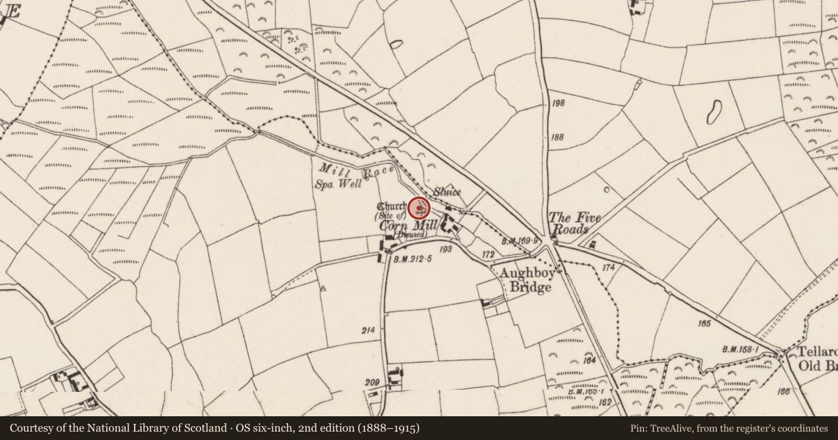 Ordnance Survey six-inch map, 2nd edition (1888–1915) covering the location of Church, Aclamon, County Wexford, with a pin at the register's coordinates